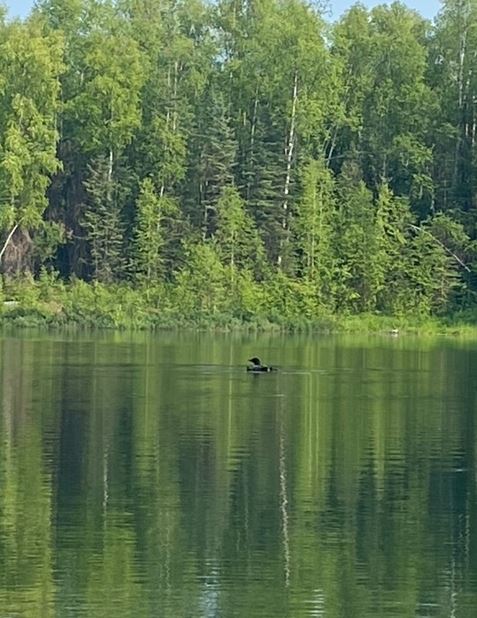 Palyati_JubileeLakeAlaska_w1.JPG