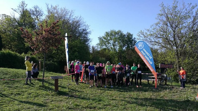 Eredmények 17. Sri Chinmoy maraton - 2019.04.28.